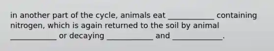 in another part of the cycle, animals eat ____________ containing nitrogen, which is again returned to the soil by animal ____________ or decaying ____________ and _____________.