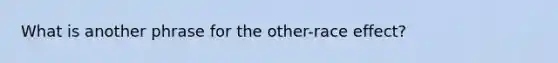 What is another phrase for the other-race effect?