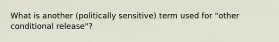 What is another (politically sensitive) term used for "other conditional release"?