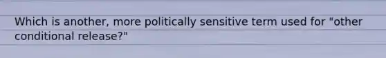 Which is another, more politically sensitive term used for "other conditional release?"