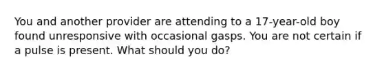 You and another provider are attending to a 17-year-old boy found unresponsive with occasional gasps. You are not certain if a pulse is present. What should you do?