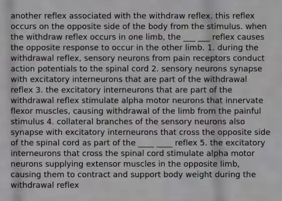 another reflex associated with the withdraw reflex. this reflex occurs on the opposite side of the body from the stimulus. when the withdraw reflex occurs in one limb, the ___ ___ reflex causes the opposite response to occur in the other limb. 1. during the withdrawal reflex, sensory neurons from pain receptors conduct action potentials to the spinal cord 2. sensory neurons synapse with excitatory interneurons that are part of the withdrawal reflex 3. the excitatory interneurons that are part of the withdrawal reflex stimulate alpha motor neurons that innervate flexor muscles, causing withdrawal of the limb from the painful stimulus 4. collateral branches of the sensory neurons also synapse with excitatory interneurons that cross the opposite side of the spinal cord as part of the ____ ____ reflex 5. the excitatory interneurons that cross the spinal cord stimulate alpha motor neurons supplying extensor muscles in the opposite limb, causing them to contract and support body weight during the withdrawal reflex