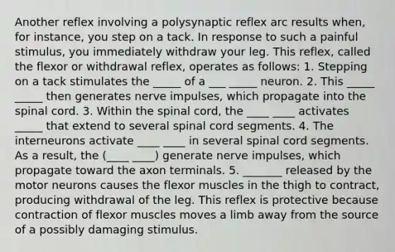 Another reflex involving a polysynaptic reflex arc results when, for instance, you step on a tack. In response to such a painful stimulus, you immediately withdraw your leg. This reflex, called the flexor or withdrawal reflex, operates as follows: 1. Stepping on a tack stimulates the _____ of a ___ _____ neuron. 2. This _____ _____ then generates nerve impulses, which propagate into the spinal cord. 3. Within the spinal cord, the ____ ____ activates _____ that extend to several spinal cord segments. 4. The interneurons activate ____ ____ in several spinal cord segments. As a result, the (____ ____) generate nerve impulses, which propagate toward the axon terminals. 5. _______ released by the motor neurons causes the flexor muscles in the thigh to contract, producing withdrawal of the leg. This reflex is protective because contraction of flexor muscles moves a limb away from the source of a possibly damaging stimulus.