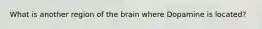 What is another region of the brain where Dopamine is located?