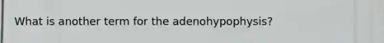 What is another term for the adenohypophysis?