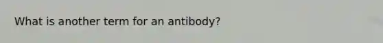 What is another term for an antibody?