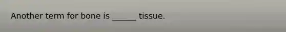 Another term for bone is ______ tissue.