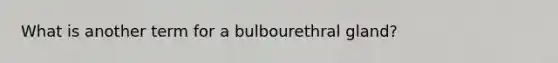 What is another term for a bulbourethral gland?