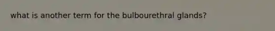 what is another term for the bulbourethral glands?