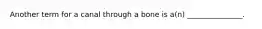 Another term for a canal through a bone is a(n) _______________.