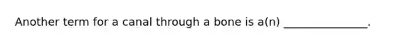 Another term for a canal through a bone is a(n) _______________.