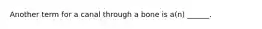 Another term for a canal through a bone is a(n) ______.