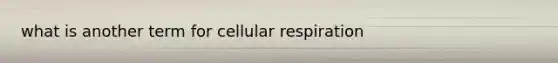 what is another term for <a href='https://www.questionai.com/knowledge/k1IqNYBAJw-cellular-respiration' class='anchor-knowledge'>cellular respiration</a>