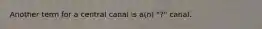 Another term for a central canal is a(n) "?" canal.