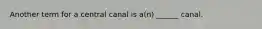 Another term for a central canal is a(n) ______ canal.