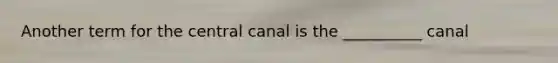 Another term for the central canal is the __________ canal