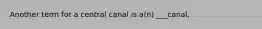 Another term for a central canal is a(n) ___canal.