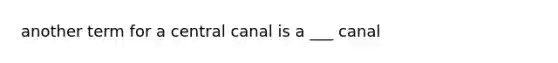 another term for a central canal is a ___ canal