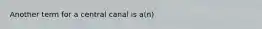 Another term for a central canal is a(n)