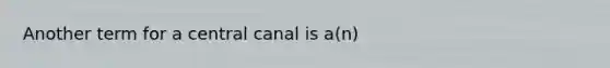 Another term for a central canal is a(n)