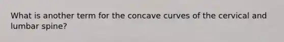 What is another term for the concave curves of the cervical and lumbar spine?