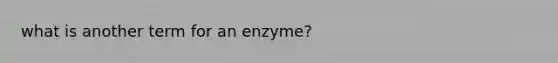 what is another term for an enzyme?