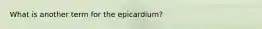 What is another term for the epicardium?