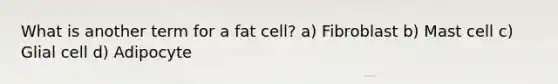 What is another term for a fat cell? a) Fibroblast b) Mast cell c) Glial cell d) Adipocyte