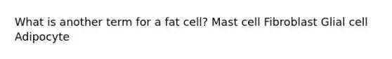 What is another term for a fat cell? Mast cell Fibroblast Glial cell Adipocyte