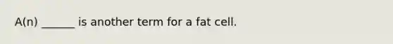 A(n) ______ is another term for a fat cell.