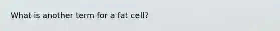 What is another term for a fat cell?