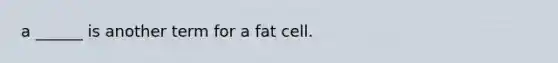 a ______ is another term for a fat cell.