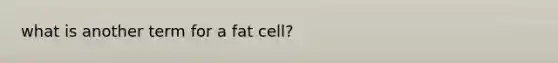 what is another term for a fat cell?