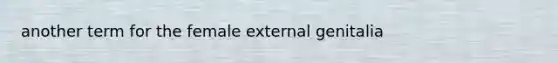 another term for the female external genitalia