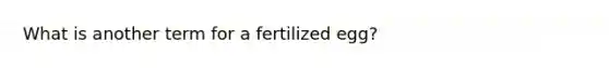 What is another term for a fertilized egg?