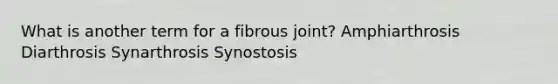 What is another term for a fibrous joint? Amphiarthrosis Diarthrosis Synarthrosis Synostosis