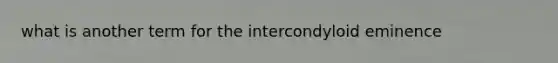 what is another term for the intercondyloid eminence