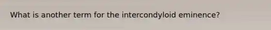 What is another term for the intercondyloid eminence?