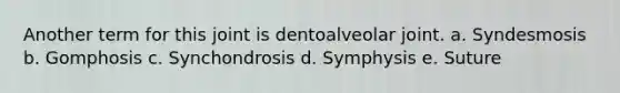 Another term for this joint is dentoalveolar joint. a. Syndesmosis b. Gomphosis c. Synchondrosis d. Symphysis e. Suture