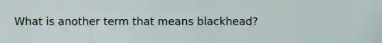 What is another term that means blackhead?