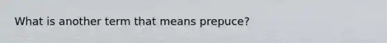 What is another term that means prepuce?