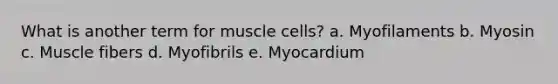 What is another term for muscle cells? a. Myofilaments b. Myosin c. Muscle fibers d. Myofibrils e. Myocardium