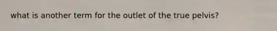 what is another term for the outlet of the true pelvis?