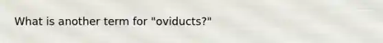 What is another term for "oviducts?"