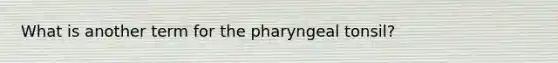 What is another term for the pharyngeal tonsil?