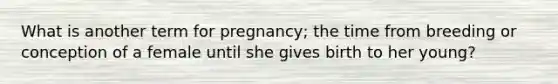 What is another term for pregnancy; the time from breeding or conception of a female until she gives birth to her young?