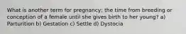 What is another term for pregnancy; the time from breeding or conception of a female until she gives birth to her young? a) Parturition b) Gestation c) Settle d) Dystocia