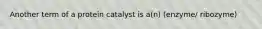 Another term of a protein catalyst is a(n) (enzyme/ ribozyme)