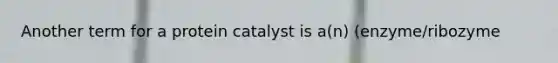 Another term for a protein catalyst is a(n) (enzyme/ribozyme