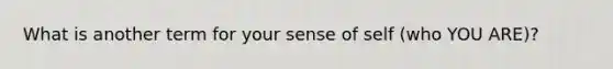 What is another term for your sense of self (who YOU ARE)?